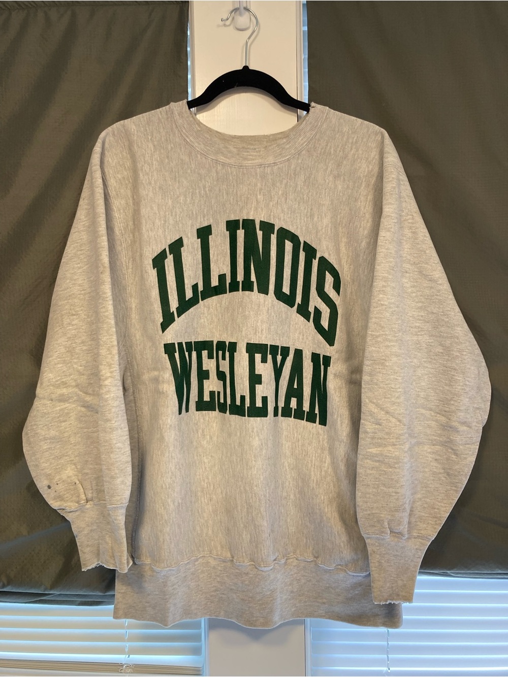 Vintage 90’s Champion Gray Illinois Wesleyan Crewneck Sweatshirt, Size XL